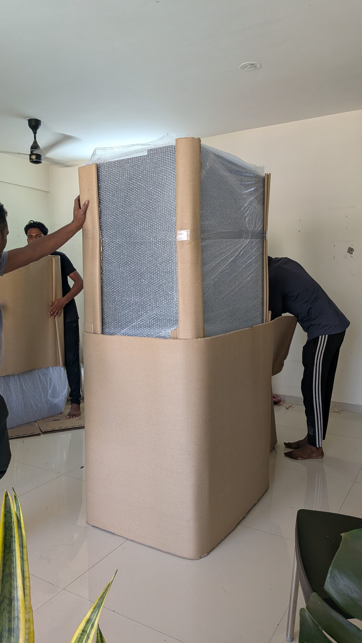 Fridge Packing